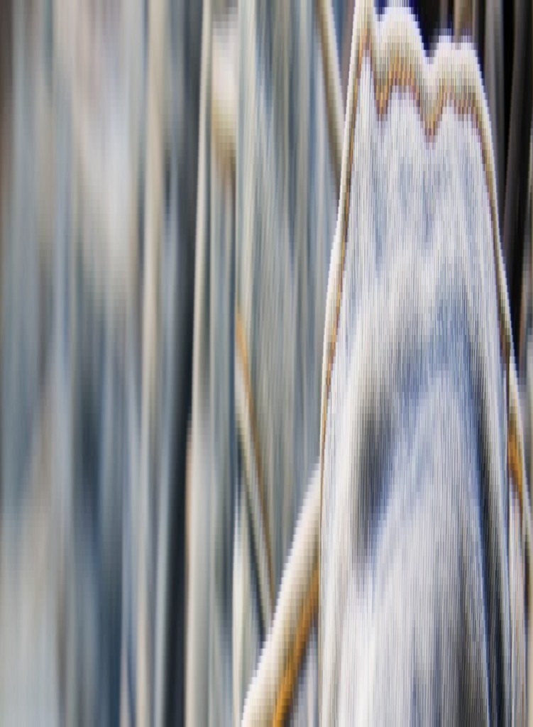 cropped-cropped-cropped-IMG_2173.jpg